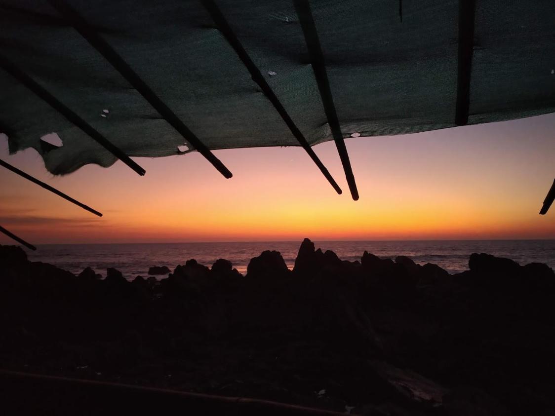 21Coconuts Inn Arambol Kültér fotó
